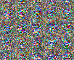 Degen Ape Society Montage