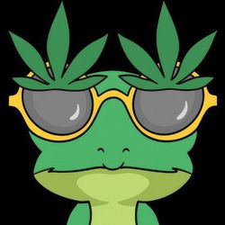 HBAR NFT Collection Froggie on THC