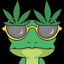 HBAR NFT Collection Froggie on THC