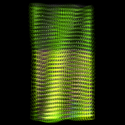 HBAR NFT Collection Scales
